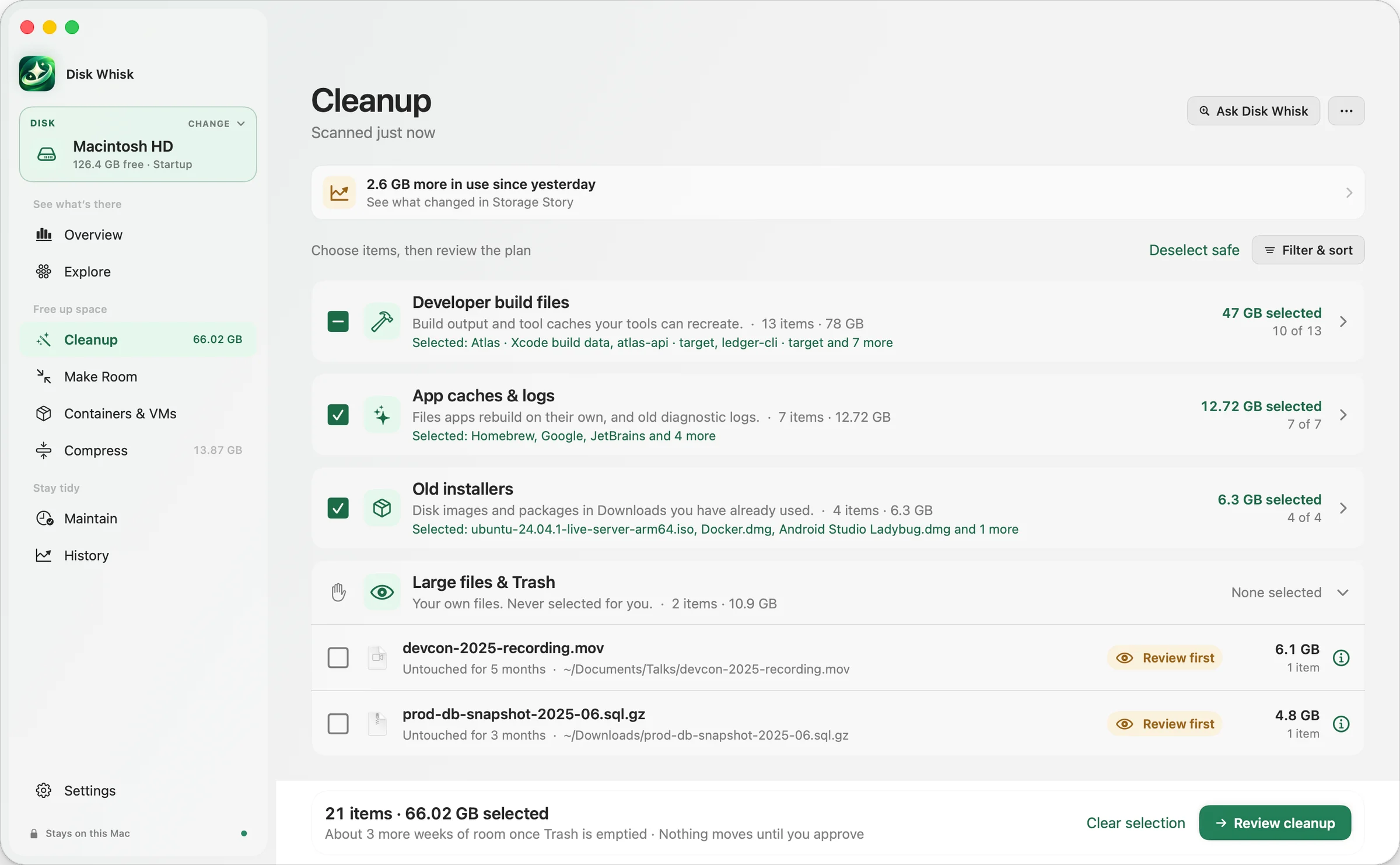 Cleanup in Disk Whisk